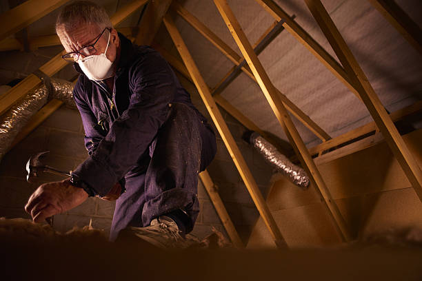 Trusted Shell Lake, WI Insulation Contractor Experts
